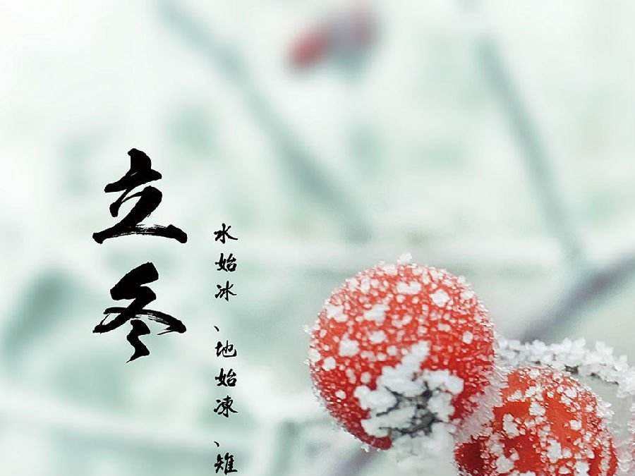 今日立冬，啟睿喊你吃餃子嘍